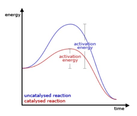 How catalysts work(Source - https://ch302.cm.utexas.edu/kinetics/catalysts/catalysts-all.php)